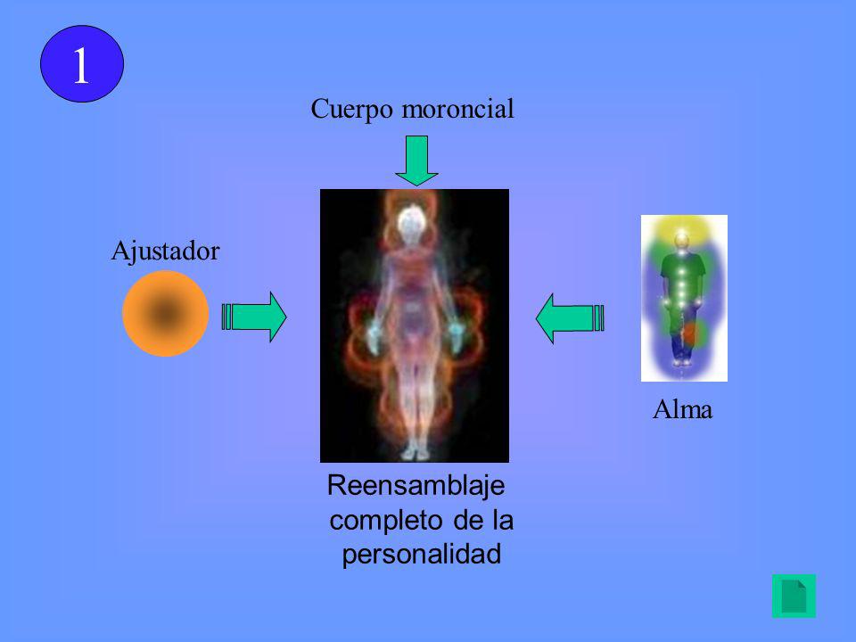 1 Cuerpo moroncial Ajustador Alma Reensamblaje completo de la