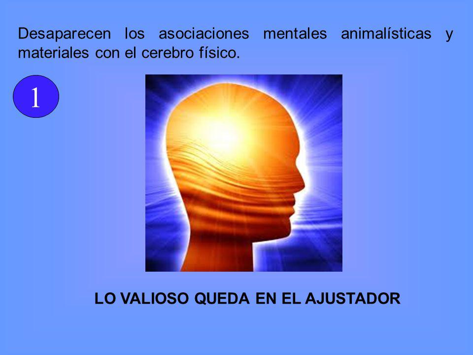 Desaparecen los asociaciones mentales animalísticas y materiales con el cerebro físico.