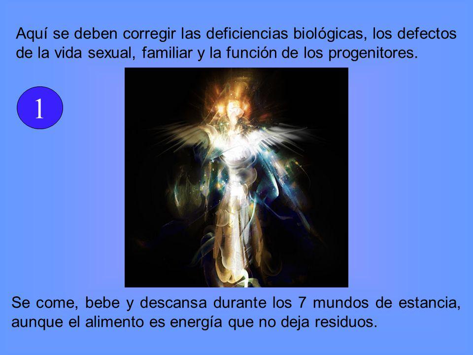 Aquí se deben corregir las deficiencias biológicas, los defectos de la vida sexual, familiar y la función de los progenitores.