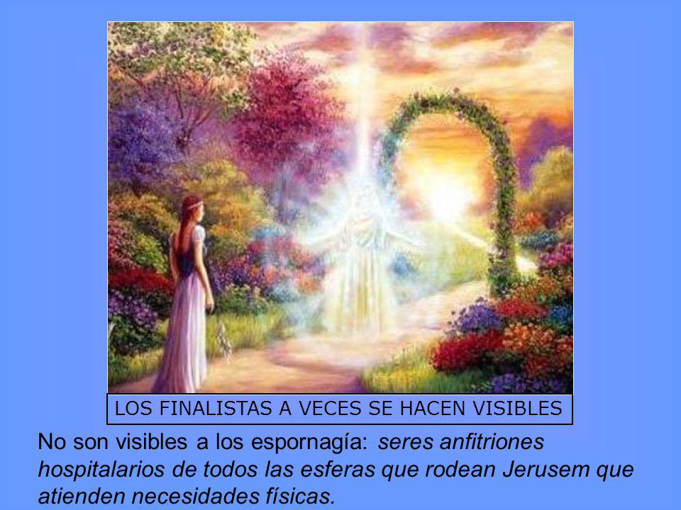LOS FINALISTAS A VECES SE HACEN VISIBLES