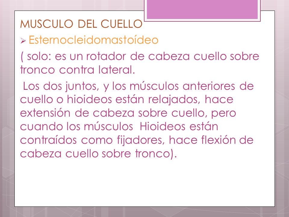 MUSCULO DEL CUELLO Esternocleidomastoídeo. ( solo: es un rotador de cabeza cuello sobre tronco contra lateral.