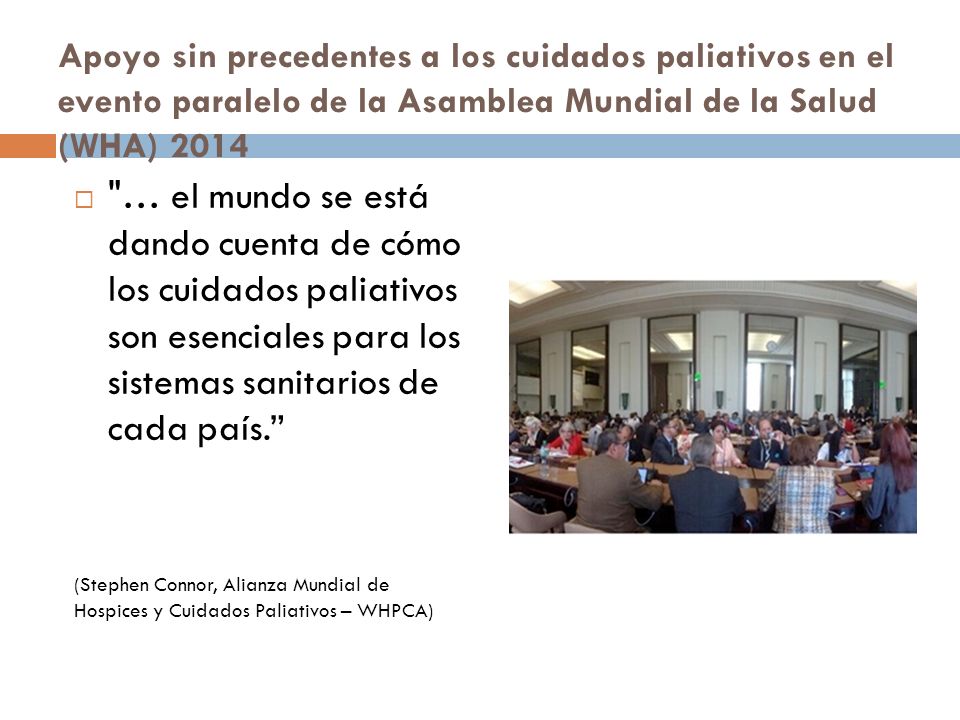 Apoyo sin precedentes a los cuidados paliativos en el evento paralelo de la Asamblea Mundial de la Salud (WHA) 2014