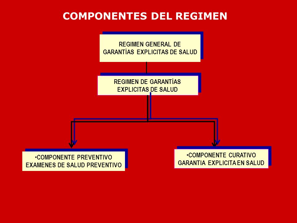COMPONENTES DEL REGIMEN