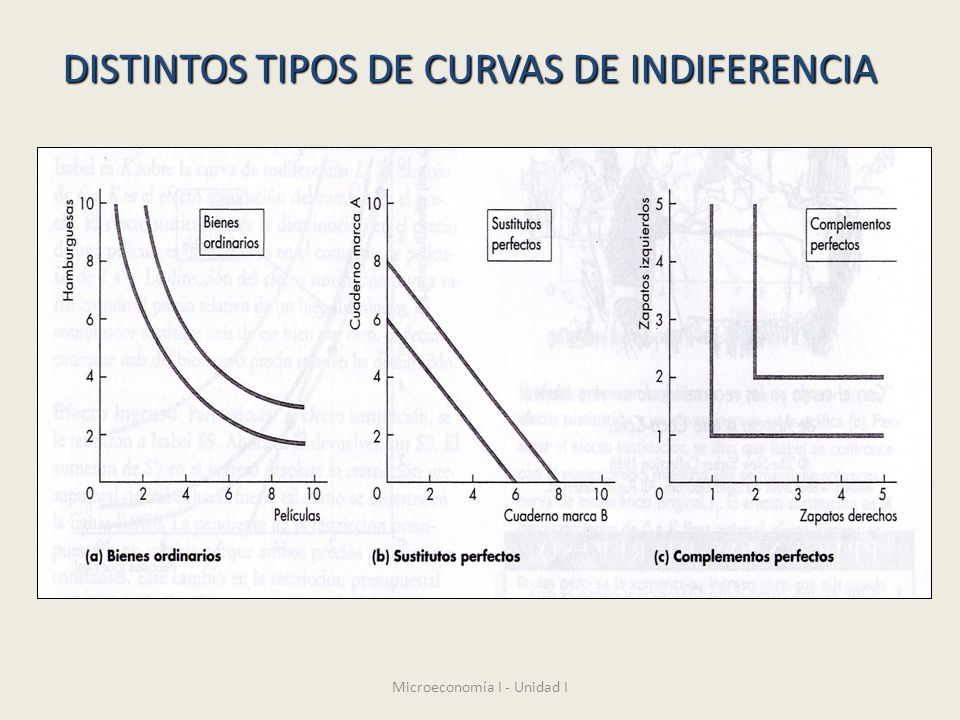 DISTINTOS TIPOS DE CURVAS DE INDIFERENCIA