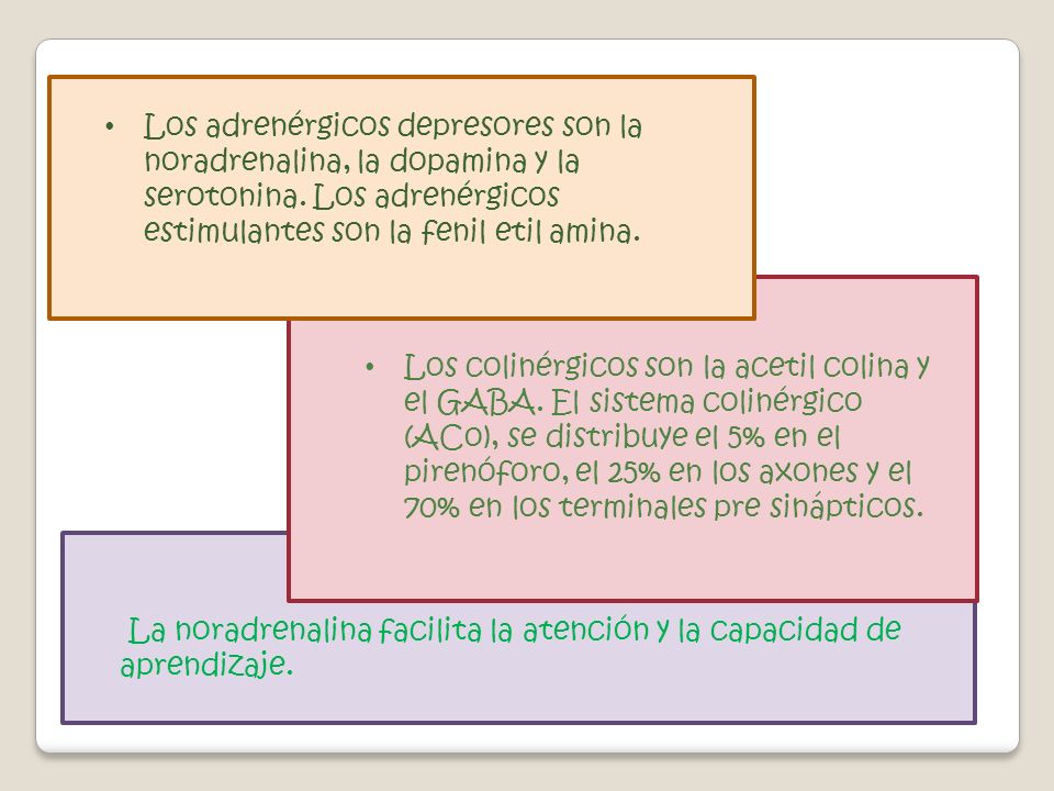 Los adrenérgicos depresores son la noradrenalina, la dopamina y la serotonina. Los adrenérgicos estimulantes son la fenil etil amina.