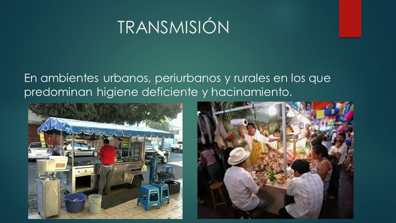 TRANSMISIÓN En ambientes urbanos, periurbanos y rurales en los que predominan higiene deficiente y hacinamiento.