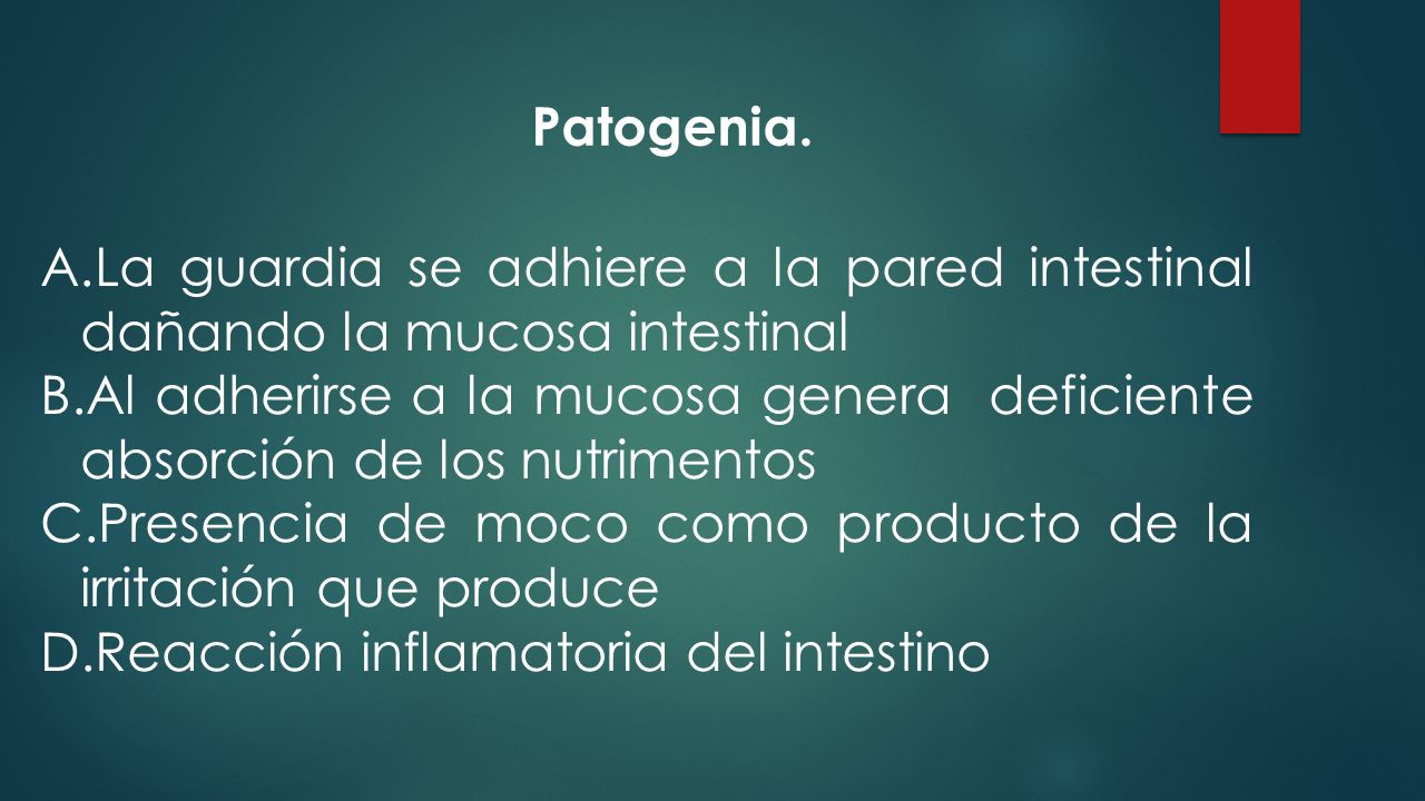 Patogenia. La guardia se adhiere a la pared intestinal dañando la mucosa intestinal.