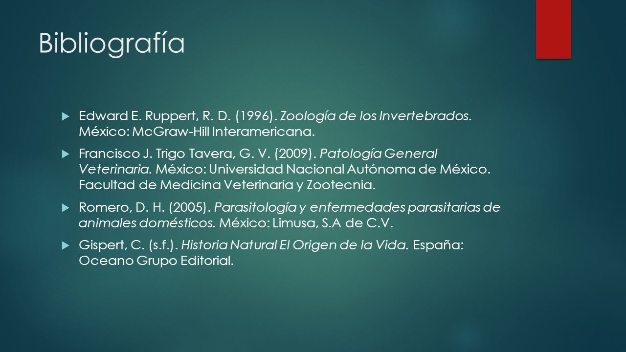 Bibliografía Edward E. Ruppert, R. D. (1996). Zoología de los Invertebrados. México: McGraw-Hill Interamericana.