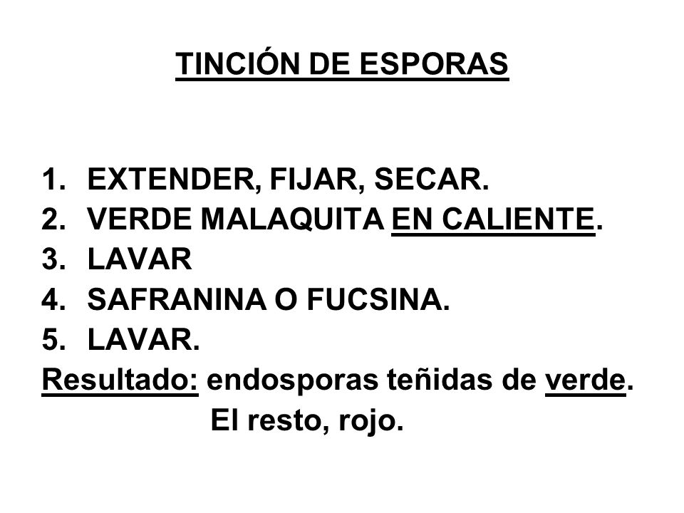 TINCIÓN DE ESPORAS EXTENDER, FIJAR, SECAR. VERDE MALAQUITA EN CALIENTE. LAVAR. SAFRANINA O FUCSINA.