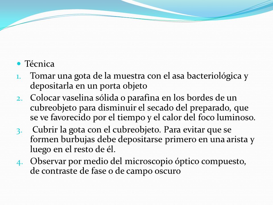 Técnica Tomar una gota de la muestra con el asa bacteriológica y depositarla en un porta objeto.