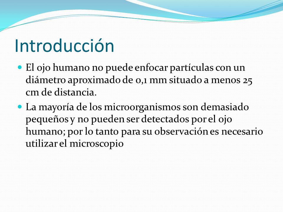 Introducción El ojo humano no puede enfocar partículas con un diámetro aproximado de 0,1 mm situado a menos 25 cm de distancia.