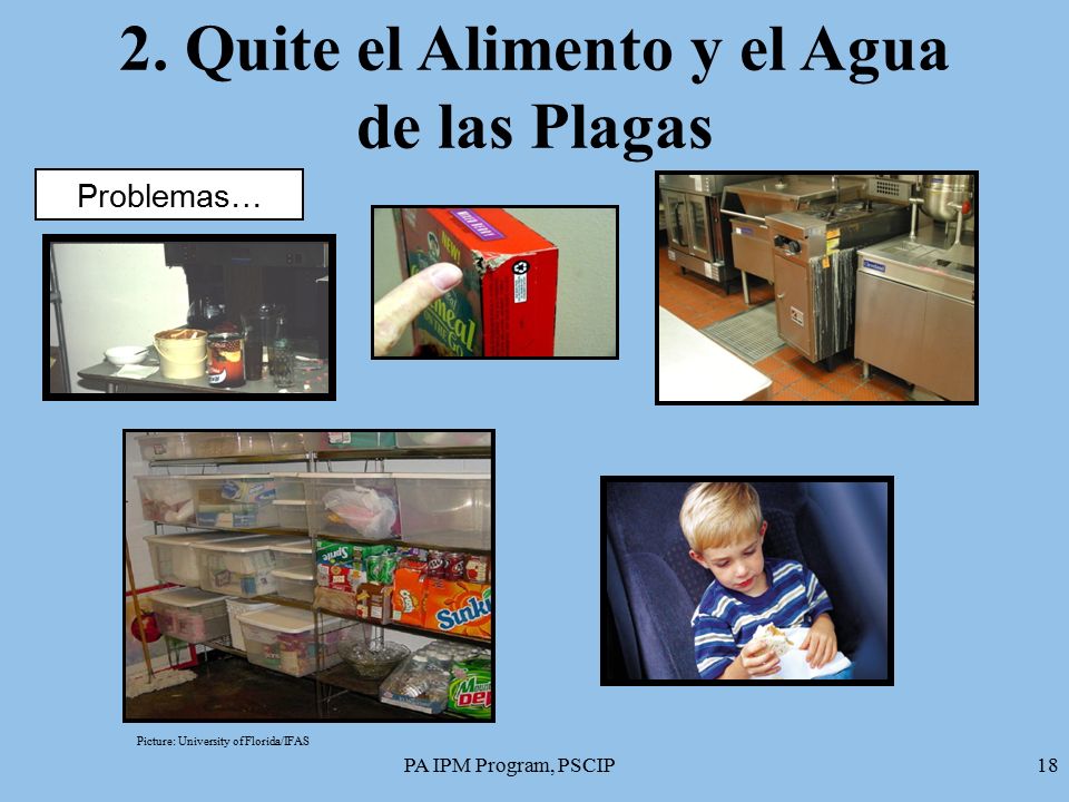 2. Quite el Alimento y el Agua de las Plagas