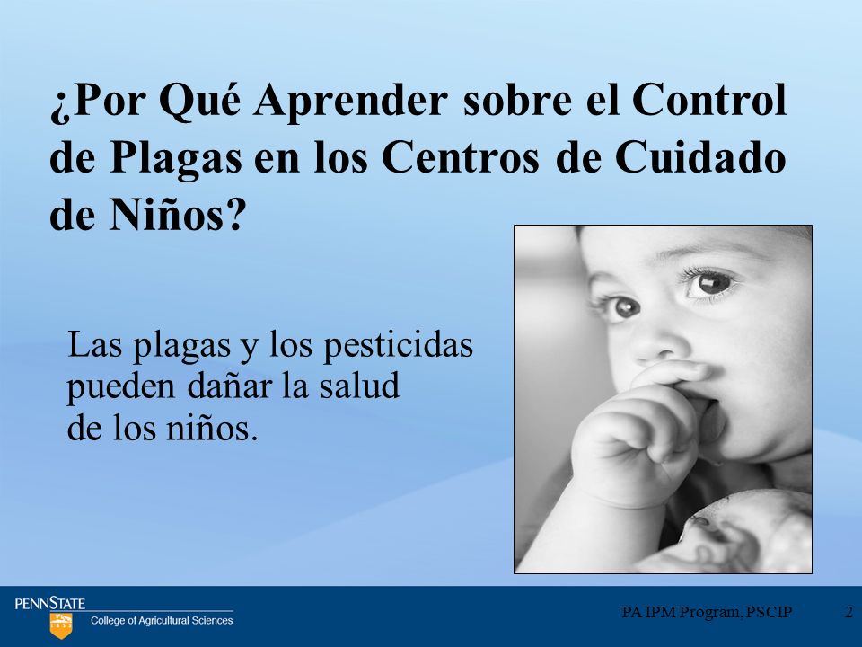 ¿Por Qué Aprender sobre el Control de Plagas en los Centros de Cuidado de Niños