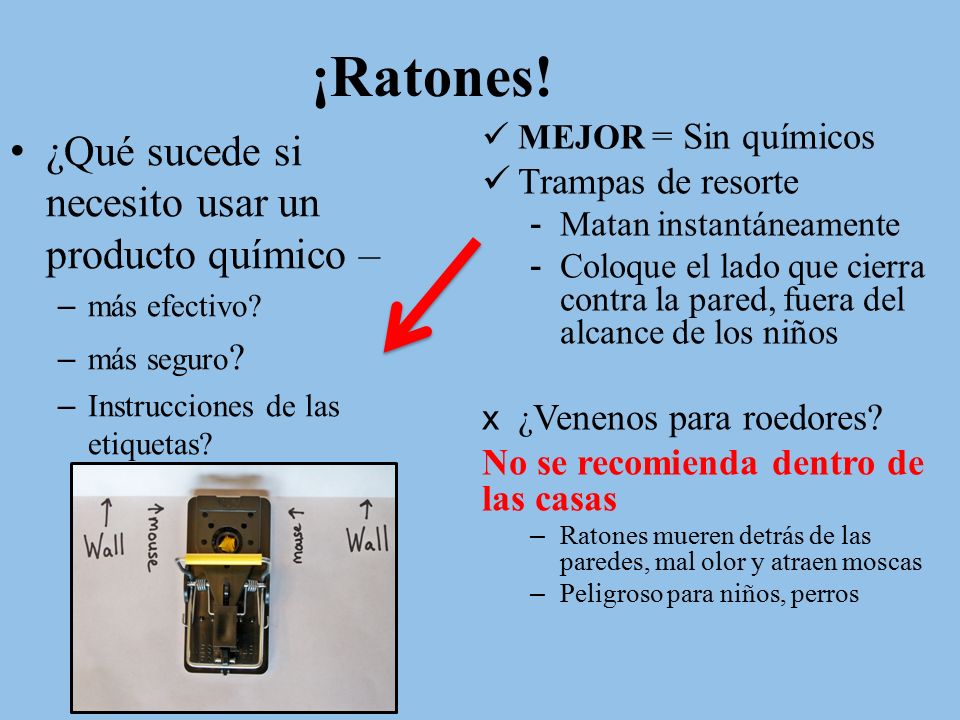 ¡Ratones! ¿Qué sucede si necesito usar un producto químico –