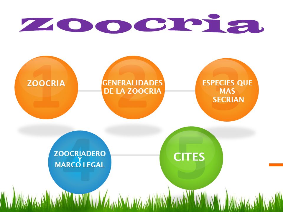 GENERALIDADES DE LA ZOOCRIA