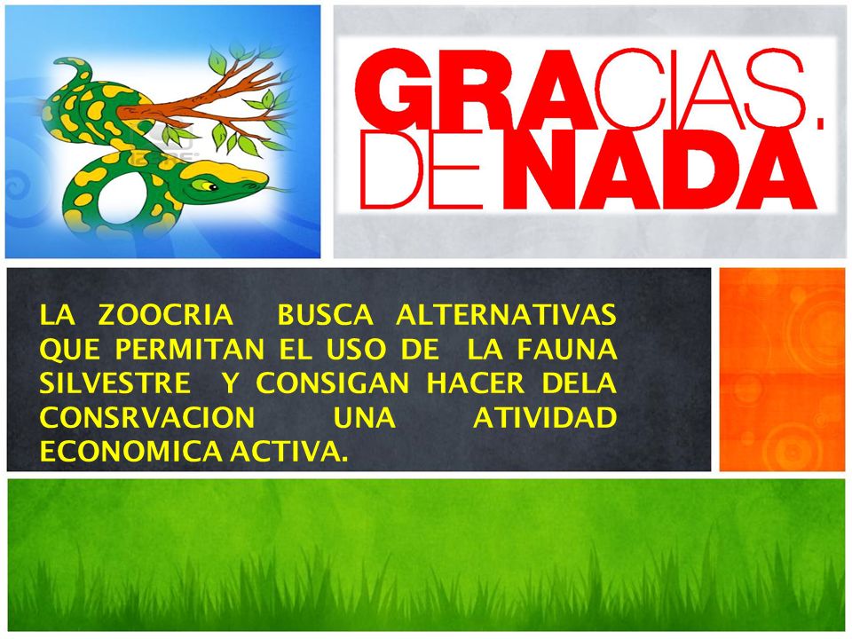LA ZOOCRIA BUSCA ALTERNATIVAS QUE PERMITAN EL USO DE LA FAUNA SILVESTRE Y CONSIGAN HACER DELA CONSRVACION UNA ATIVIDAD ECONOMICA ACTIVA.