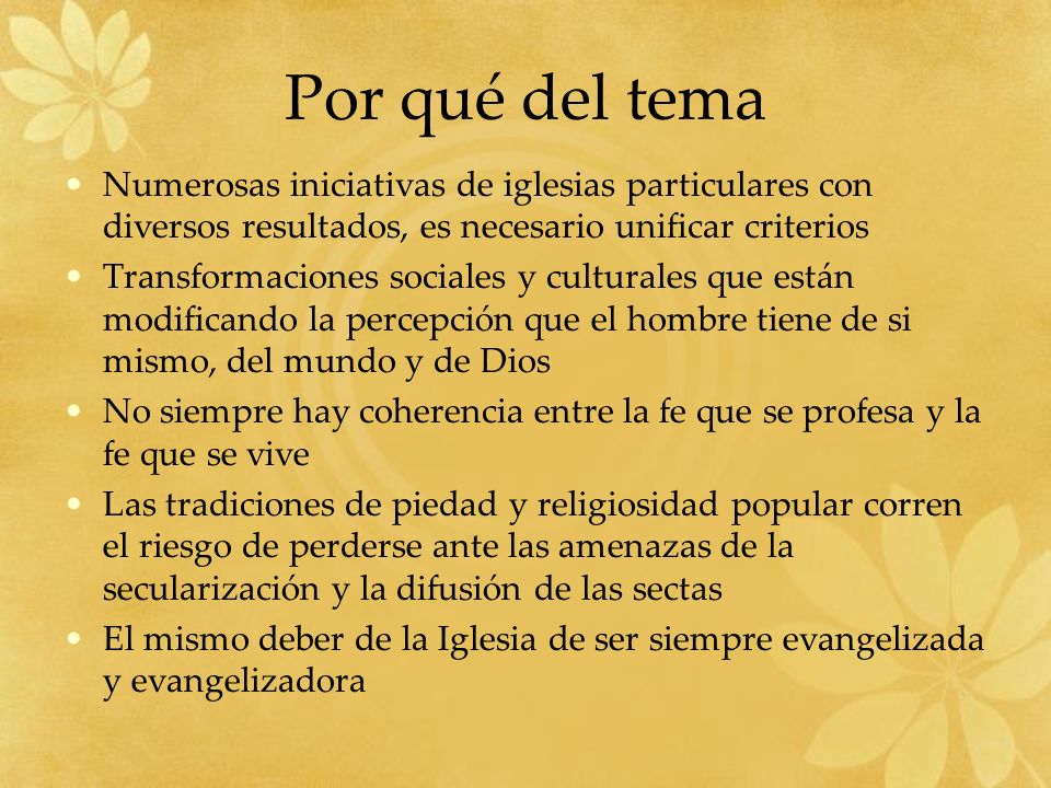 Por qué del tema Numerosas iniciativas de iglesias particulares con diversos resultados, es necesario unificar criterios.