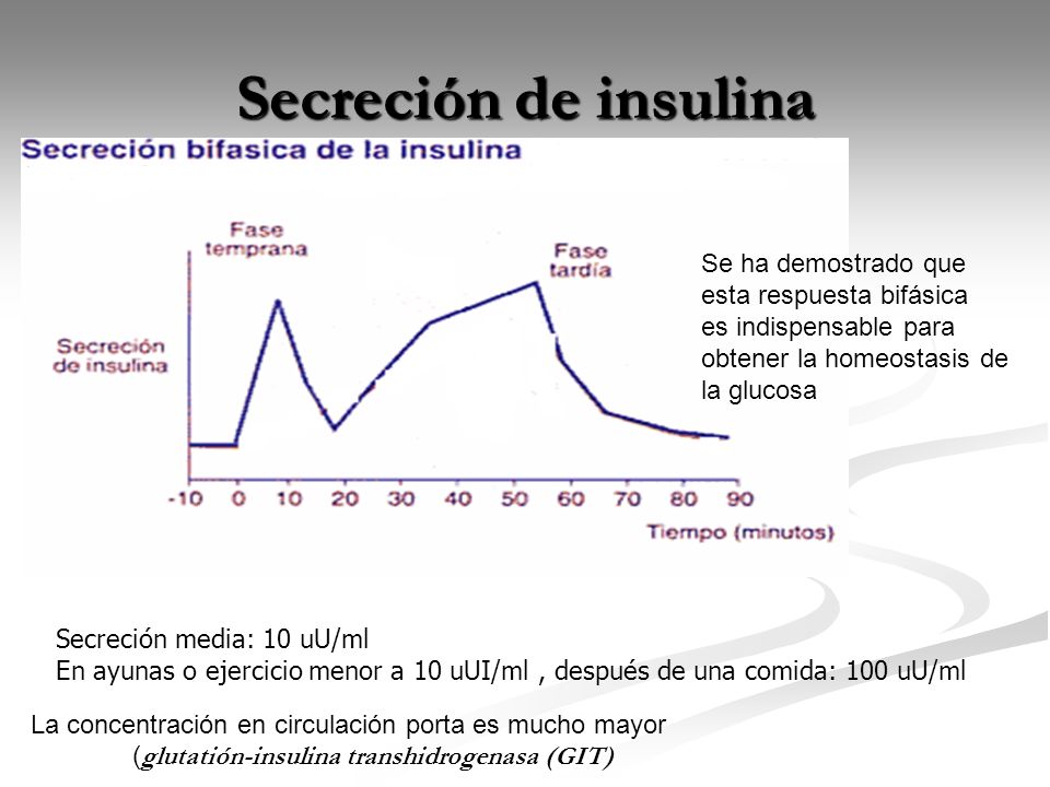 Secreción de insulina Se ha demostrado que esta respuesta bifásica