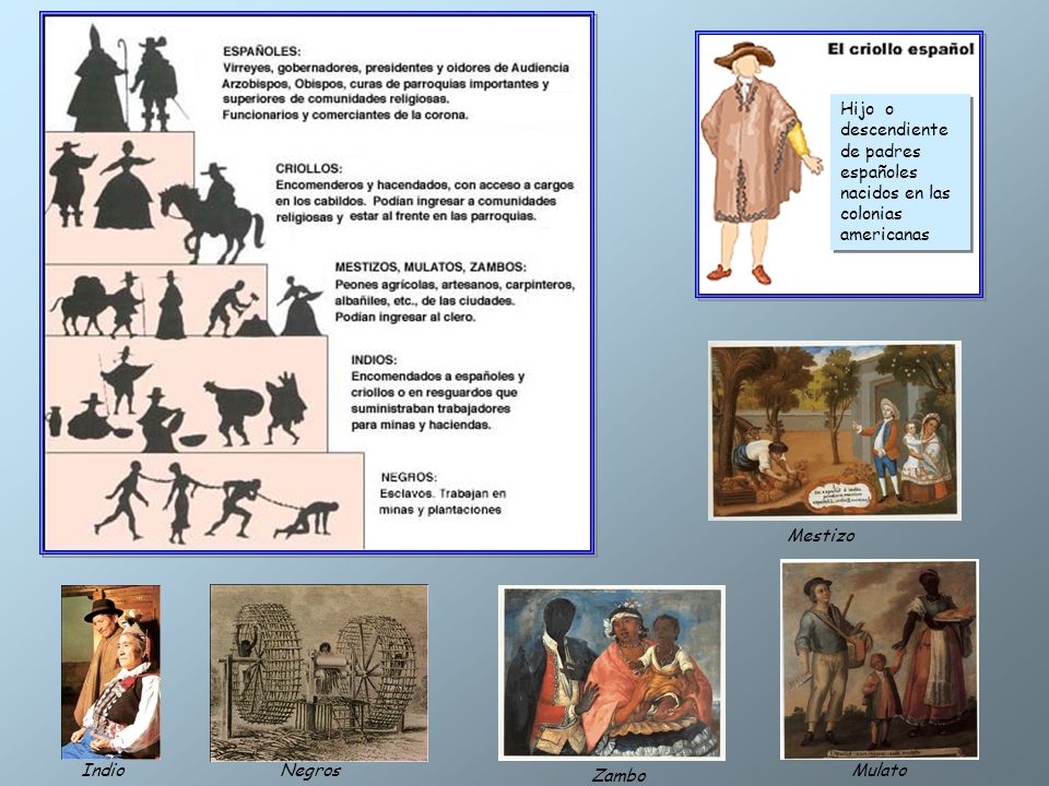 Hijo o descendiente de padres españoles. nacidos en las colonias americanas. Mestizo. Mulato. Zambo.