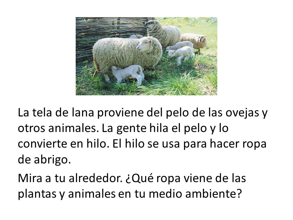 La tela de lana proviene del pelo de las ovejas y otros animales