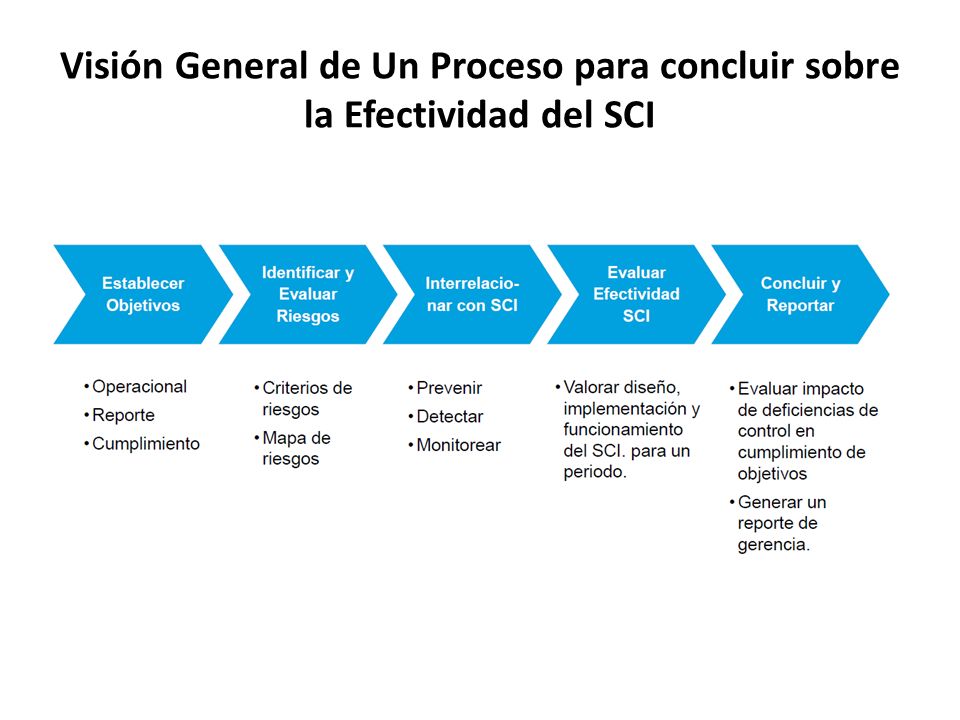 Visión General de Un Proceso para concluir sobre la Efectividad del SCI