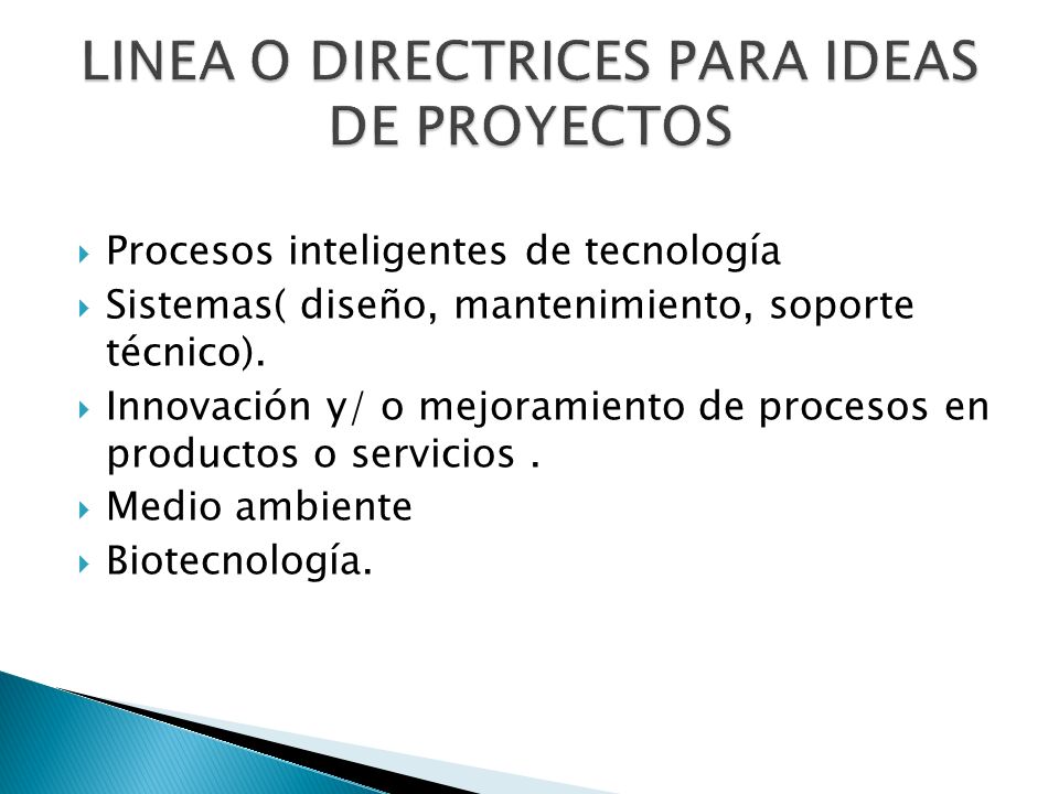 LINEA O DIRECTRICES PARA IDEAS DE PROYECTOS