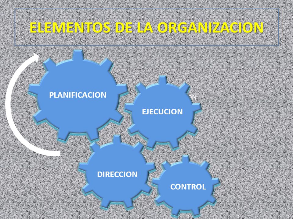 ELEMENTOS DE LA ORGANIZACION