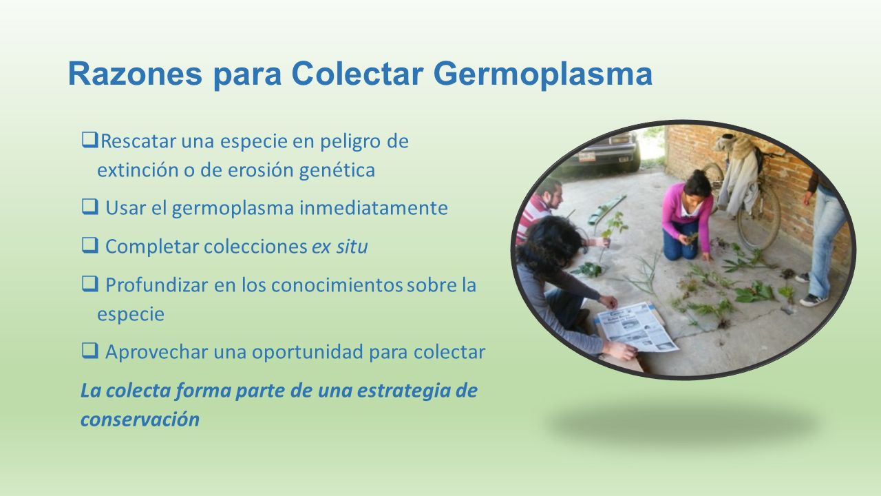 Razones para Colectar Germoplasma