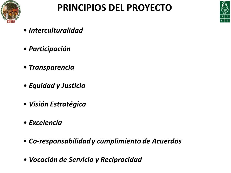 PRINCIPIOS DEL PROYECTO