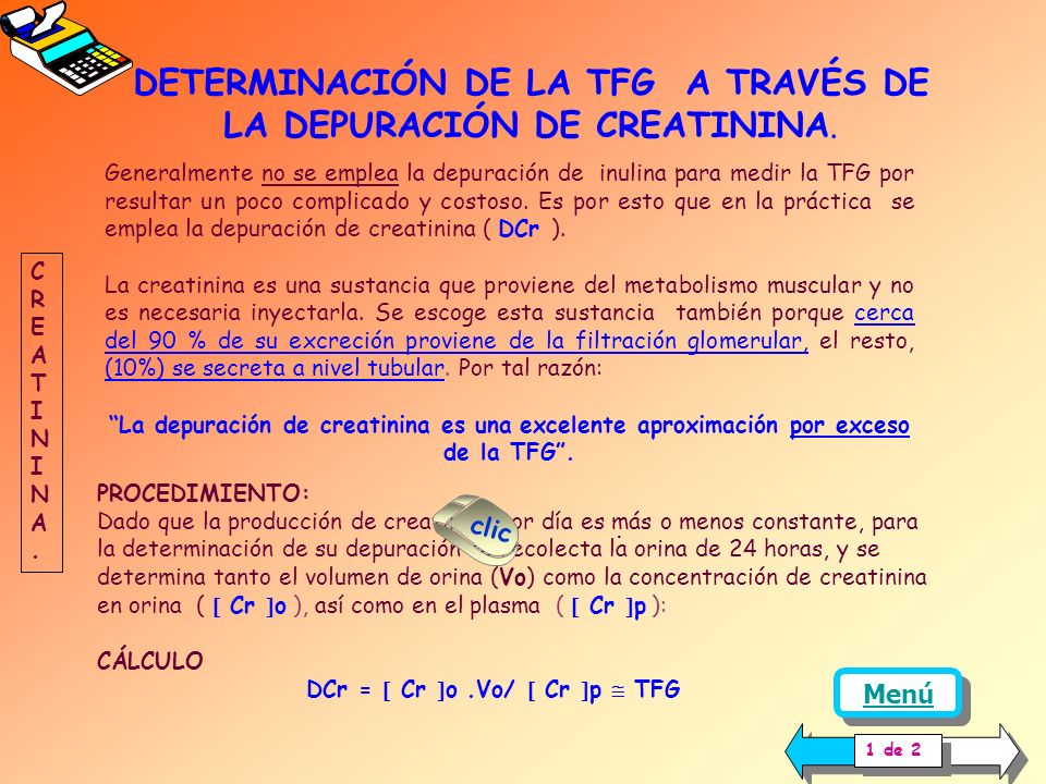 DETERMINACIÓN DE LA TFG A TRAVÉS DE LA DEPURACIÓN DE CREATININA.