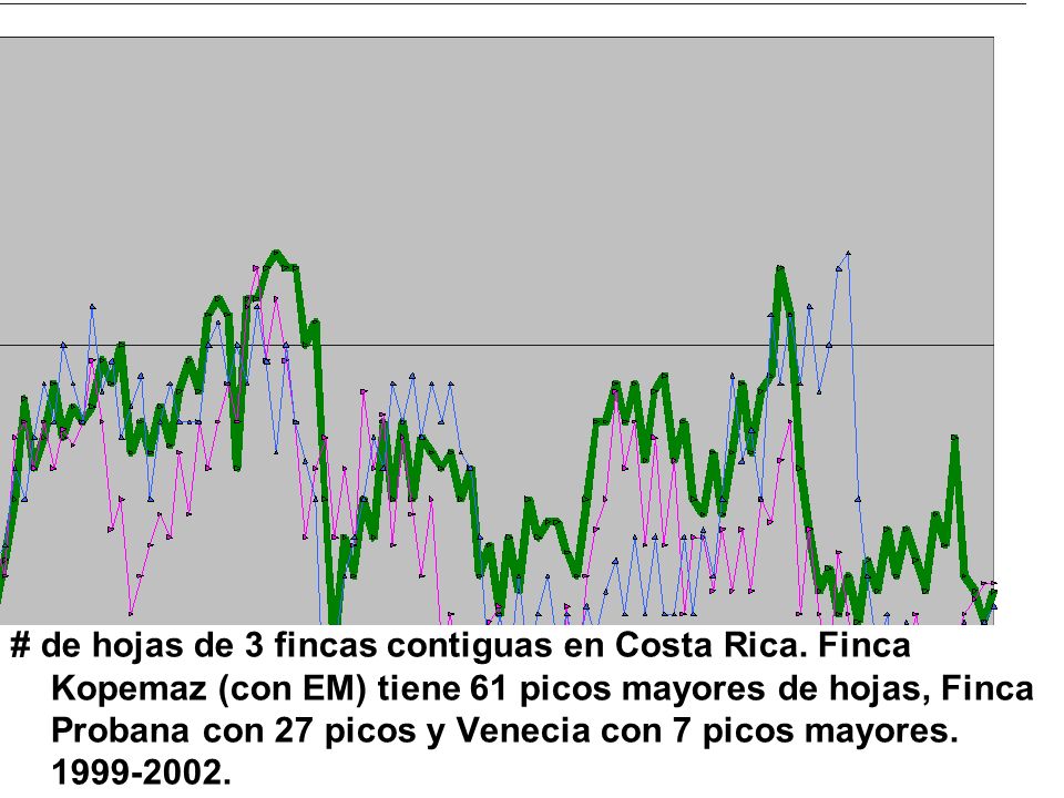 # de hojas de 3 fincas contiguas en Costa Rica
