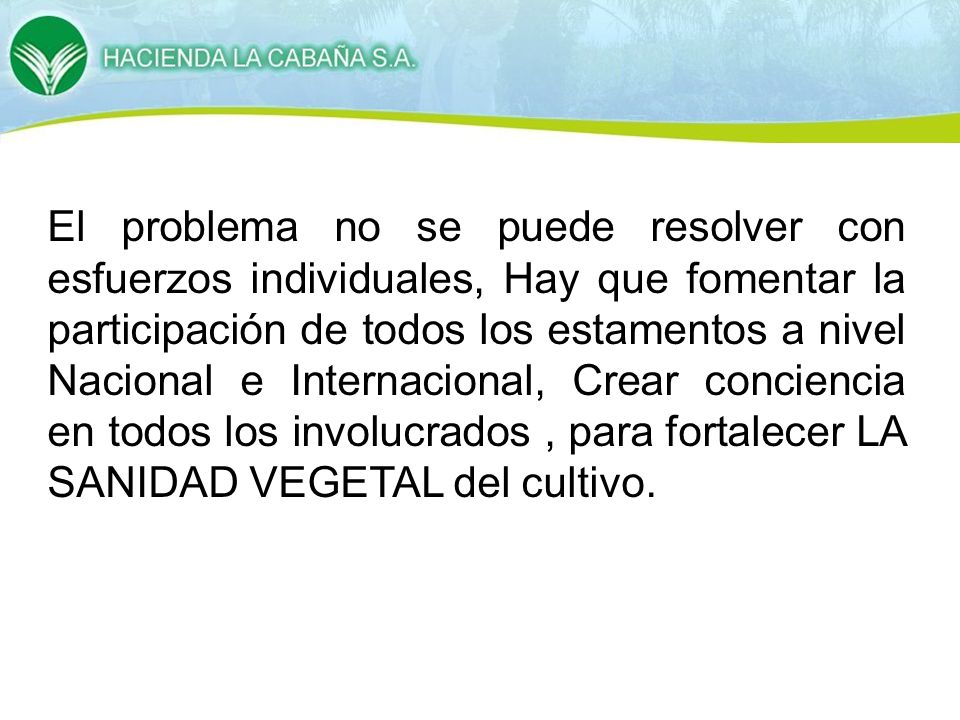 El problema no se puede resolver con esfuerzos individuales, Hay que fomentar la participación de todos los estamentos a nivel Nacional e Internacional, Crear conciencia en todos los involucrados , para fortalecer LA SANIDAD VEGETAL del cultivo.