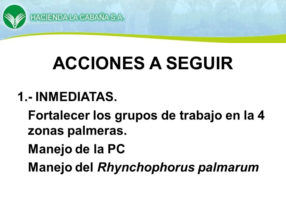 ACCIONES A SEGUIR 1.- INMEDIATAS. Fortalecer los grupos de trabajo en la 4 zonas palmeras.