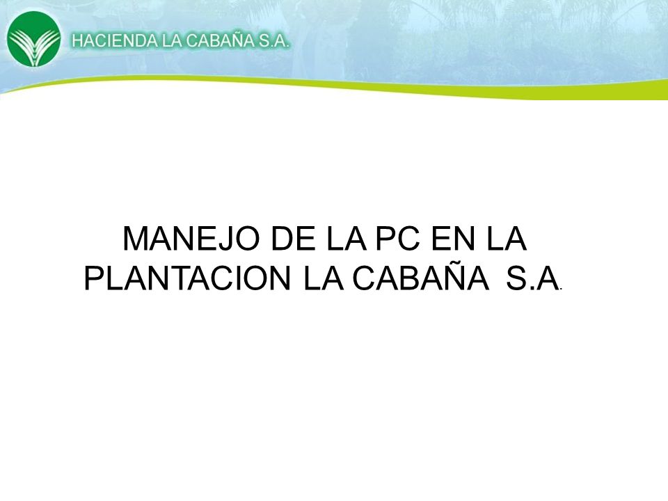 MANEJO DE LA PC EN LA PLANTACION LA CABAÑA S.A.
