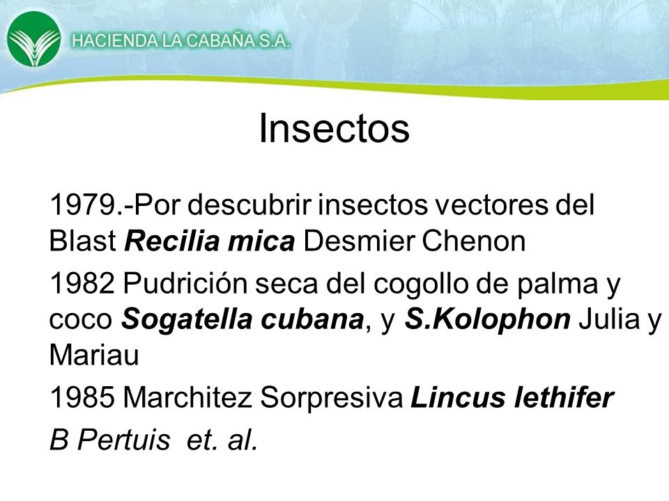 Insectos Por descubrir insectos vectores del Blast Recilia mica Desmier Chenon.