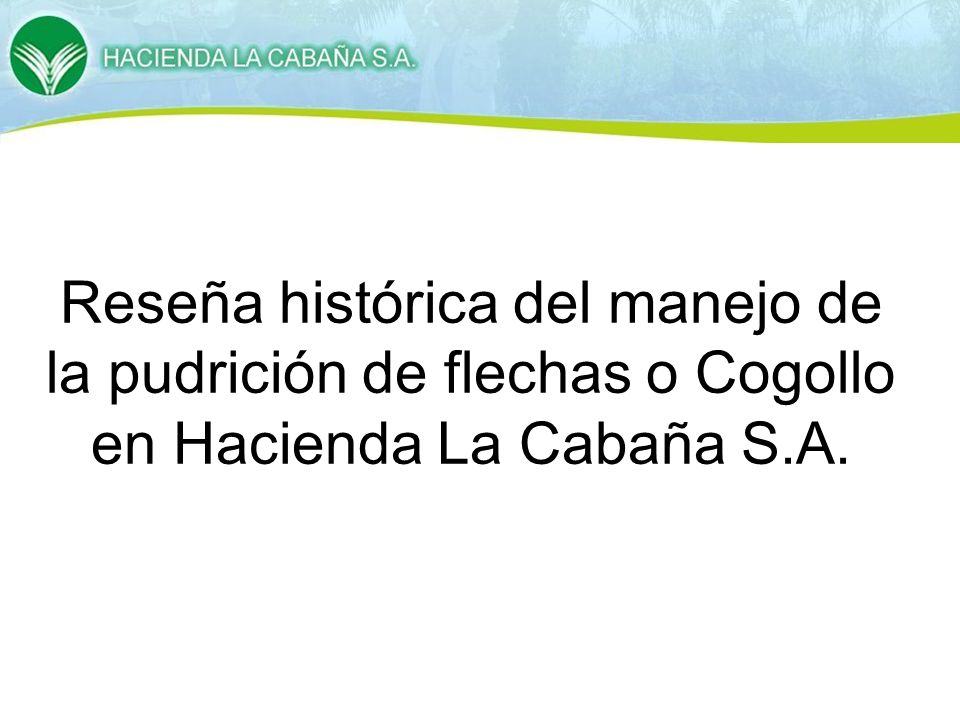 Reseña histórica del manejo de la pudrición de flechas o Cogollo en Hacienda La Cabaña S.A.