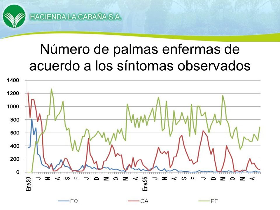 Número de palmas enfermas de acuerdo a los síntomas observados