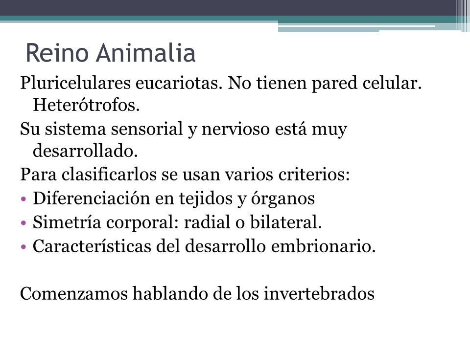 Reino Animalia Pluricelulares eucariotas. No tienen pared celular. Heterótrofos. Su sistema sensorial y nervioso está muy desarrollado.
