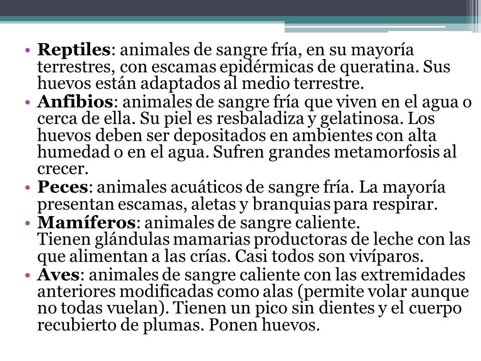 Reptiles: animales de sangre fría, en su mayoría terrestres, con escamas epidérmicas de queratina. Sus huevos están adaptados al medio terrestre.