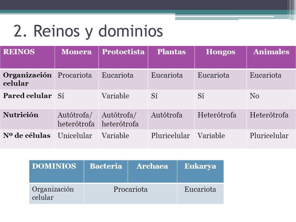 2. Reinos y dominios REINOS Monera Protoctista Plantas Hongos Animales
