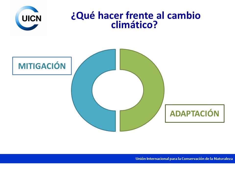 ¿Qué hacer frente al cambio climático