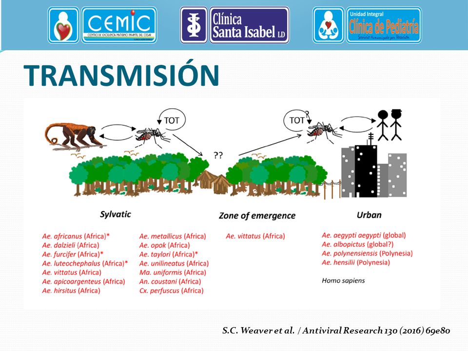 TRANSMISIÓN S.C. Weaver et al. / Antiviral Research 130 (2016) 69e80
