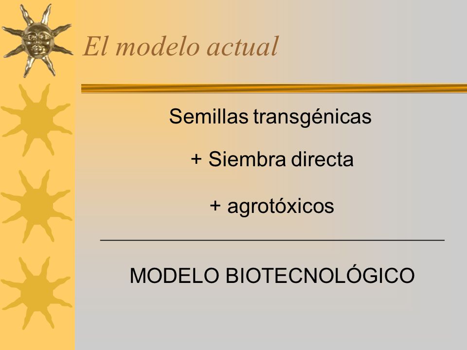 El modelo actual Semillas transgénicas + Siembra directa + agrotóxicos