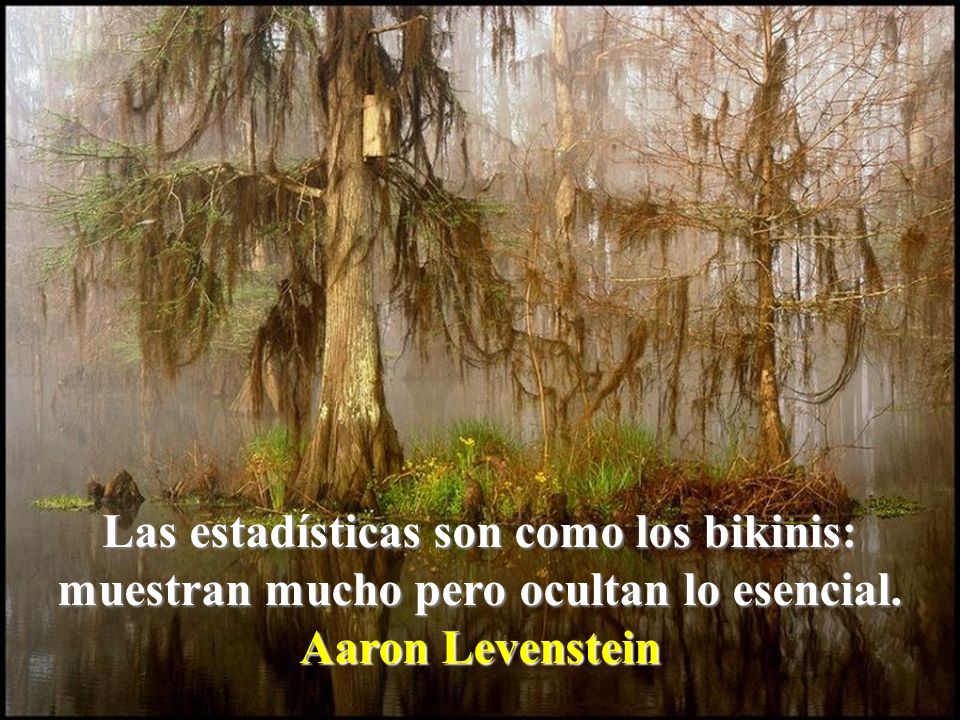 Las estadísticas son como los bikinis: muestran mucho pero ocultan lo esencial.