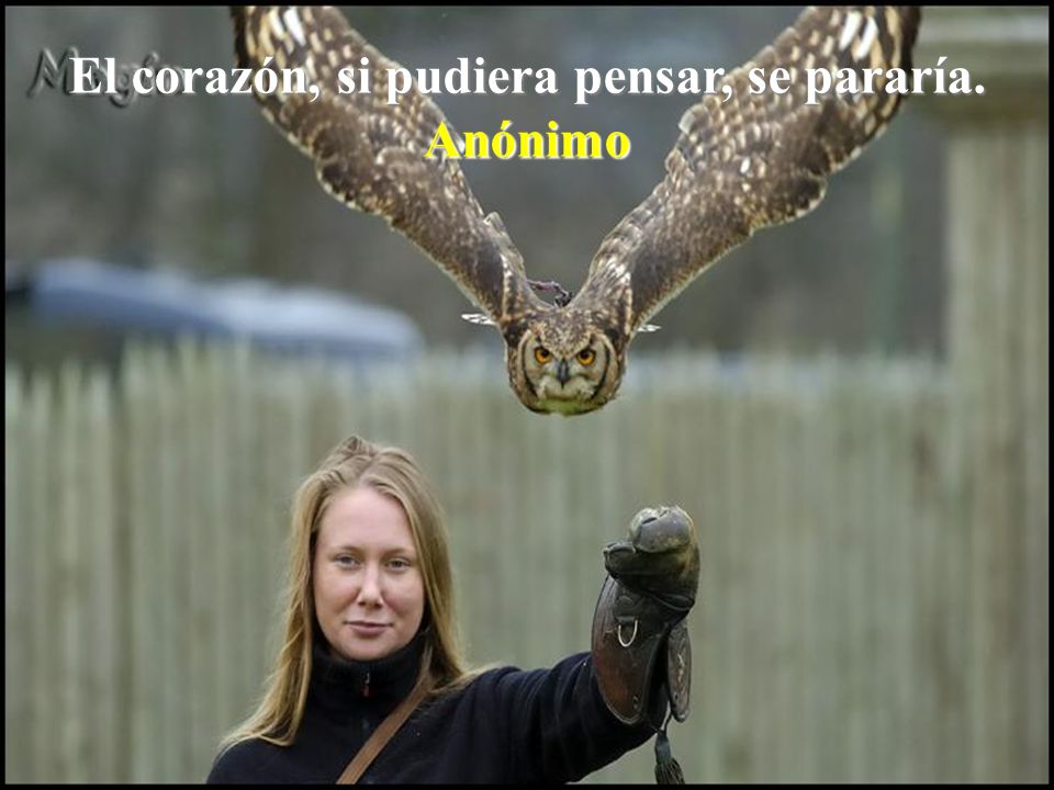 El corazón, si pudiera pensar, se pararía.