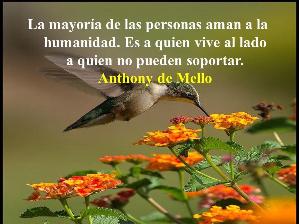 La mayoría de las personas aman a la humanidad