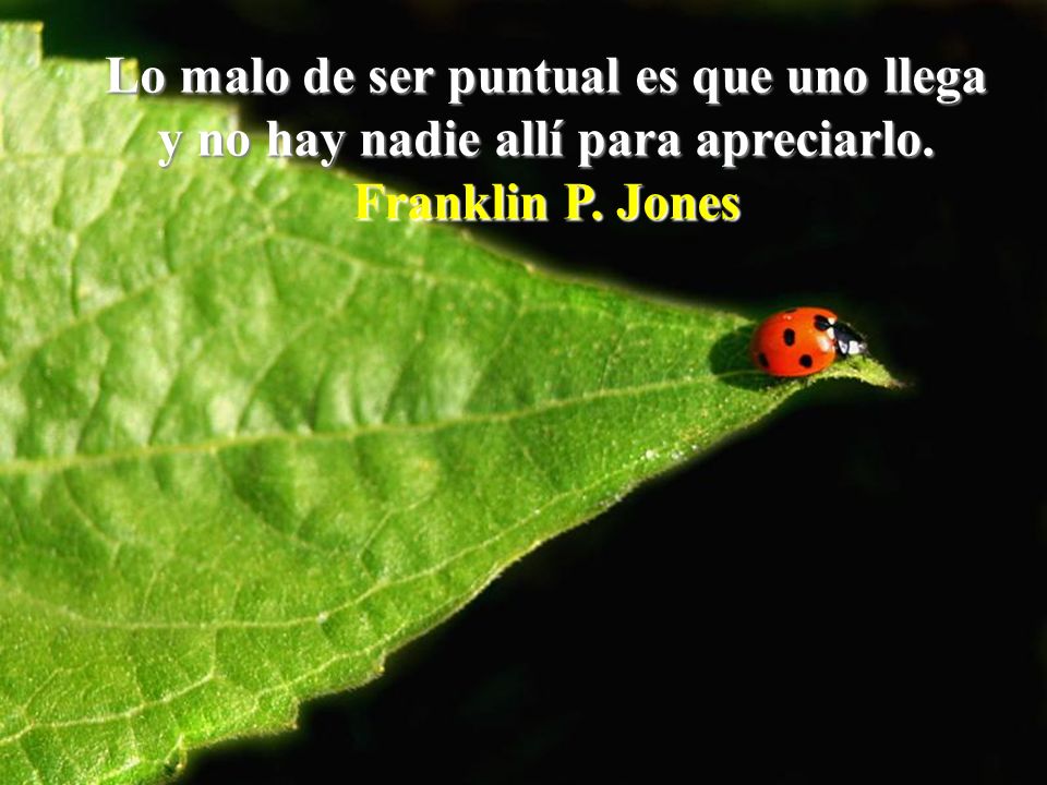 Lo malo de ser puntual es que uno llega y no hay nadie allí para apreciarlo.