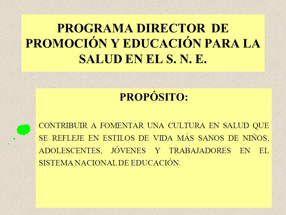 PROGRAMA DIRECTOR DE PROMOCIÓN Y EDUCACIÓN PARA LA SALUD EN EL S. N. E.