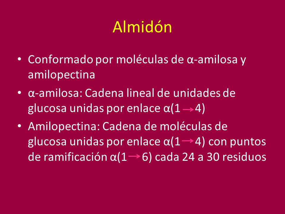 Almidón Conformado por moléculas de α-amilosa y amilopectina