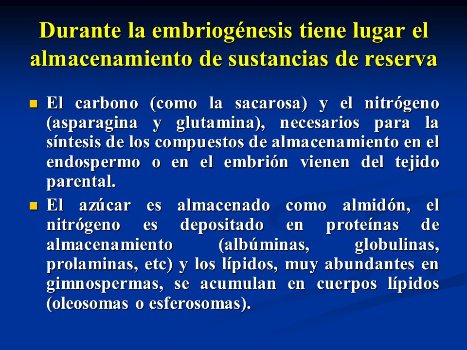 Durante la embriogénesis tiene lugar el almacenamiento de sustancias de reserva